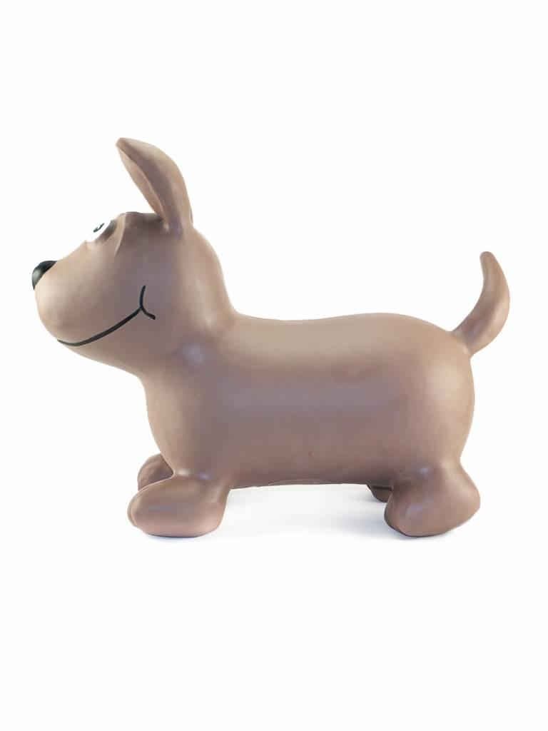 LJA-62-101  Brown Dog